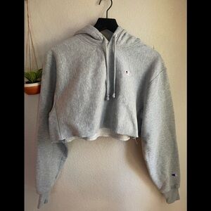 Champion reverse weave cropped sweater